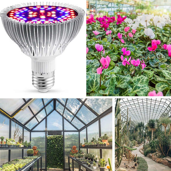 BowLift | LED Plant Growth Lamp Full Spectrum E27 Plant Fill Light, Power: 30W 40 Lamp Beads