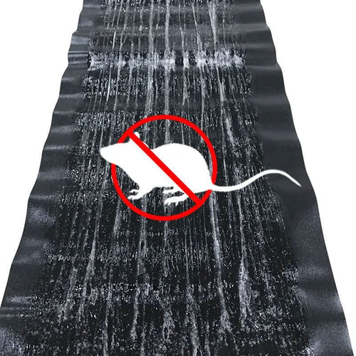 BowLift | Large Non-toxic Glue Trap for Effective Pest Control