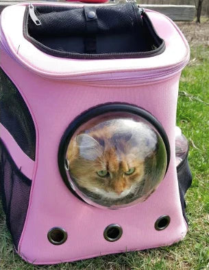 BowLift | Pet Carrier Backpack with Bubble Window Design