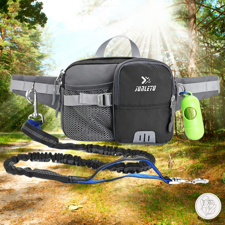 BowLift | LeashPack Comfortable Daily Walks