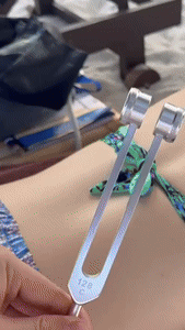 BowLift | Tuning Fork Set