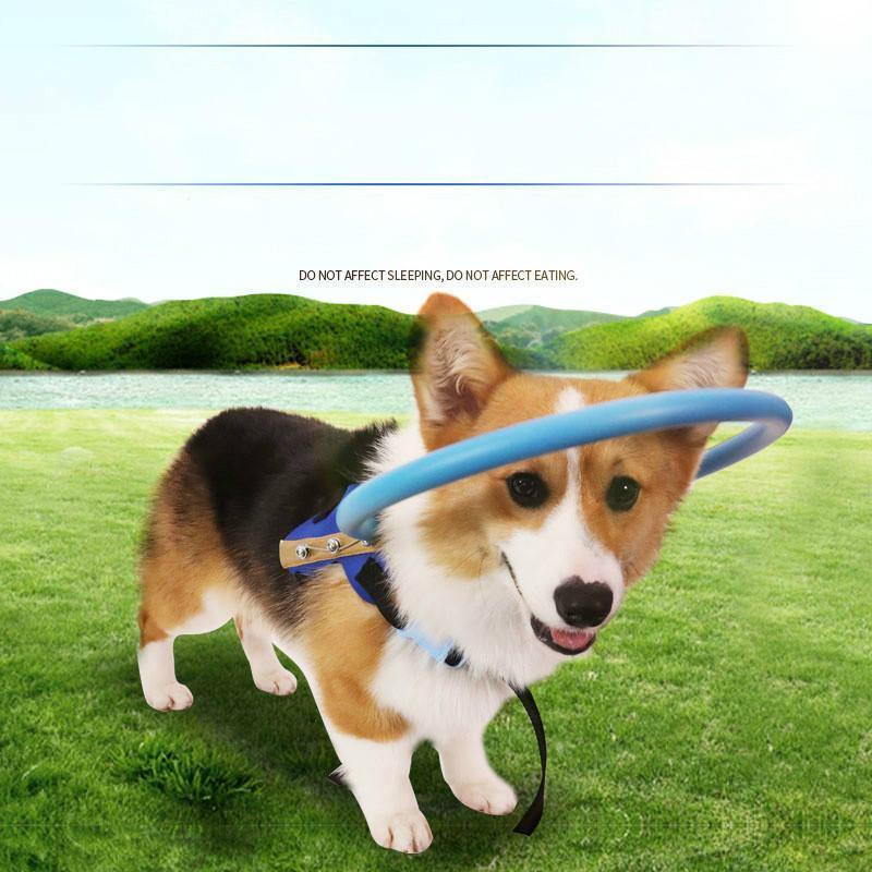 BowLift | Bumper Collar Guide For Blind Dogs Harness