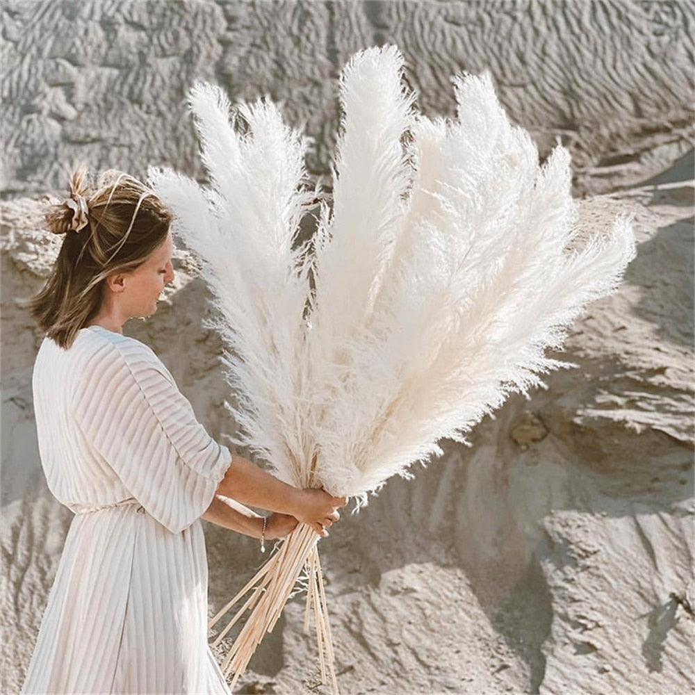 BowLift | FeatherFawn - Dried Pampas Flowers