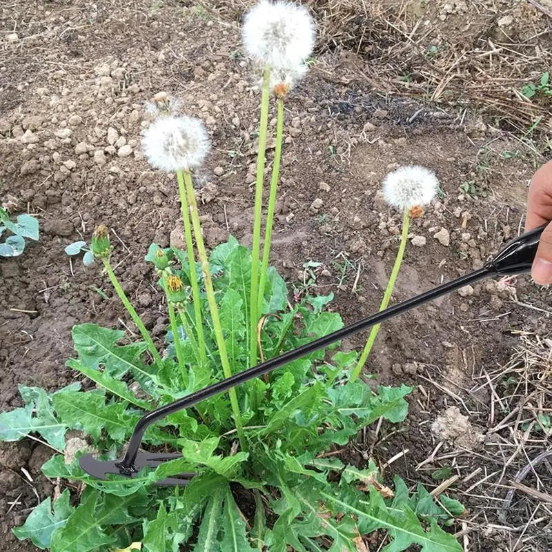 BowLift | Weed removal tool with 4 prongs – Garden hoe tool