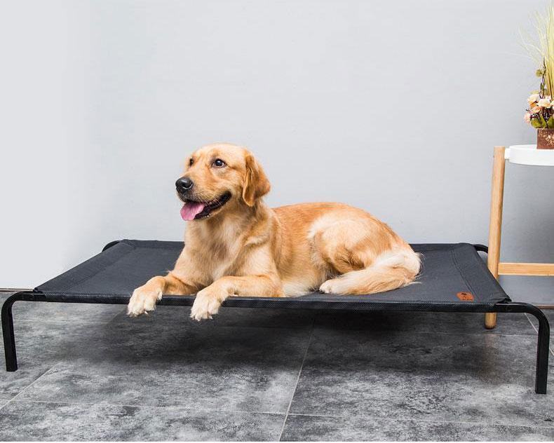 Duke - Breathable Mesh Raised Bed | Bowlift