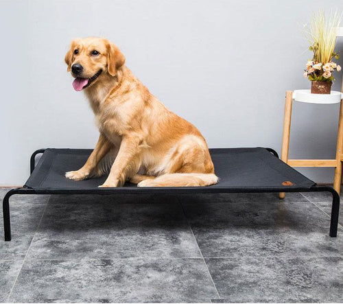 Duke - Breathable Mesh Raised Bed | Bowlift