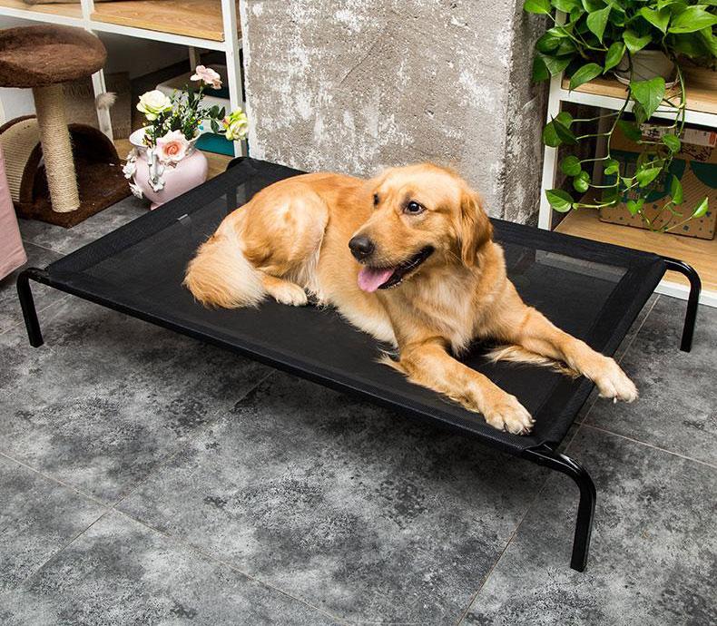 Duke - Breathable Mesh Raised Bed | Bowlift