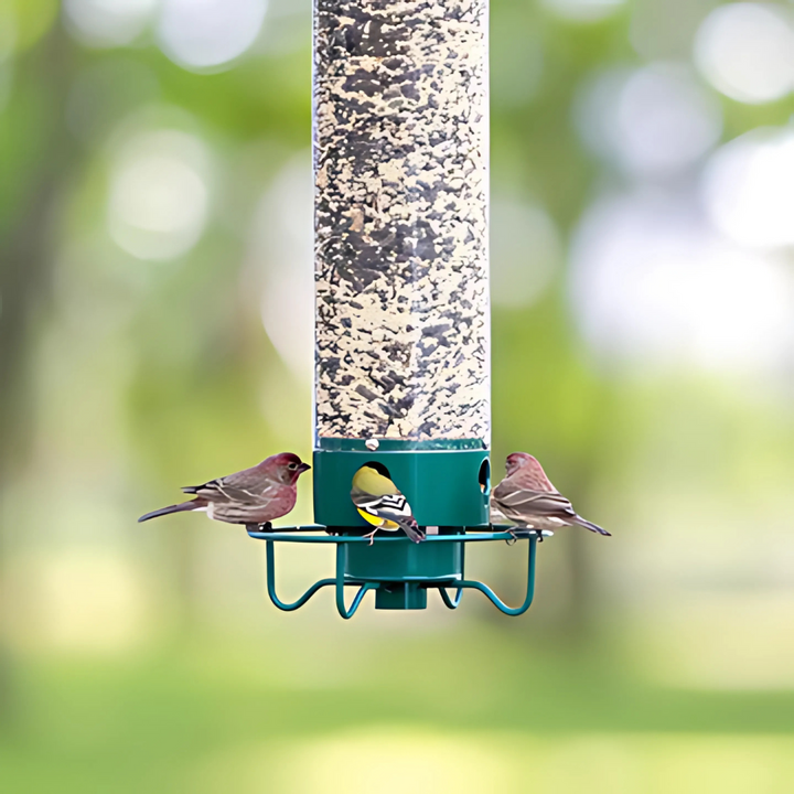 BowLift | Bird Feeder | Squirrel-Proof Hanging Seed Feeder Outdoor