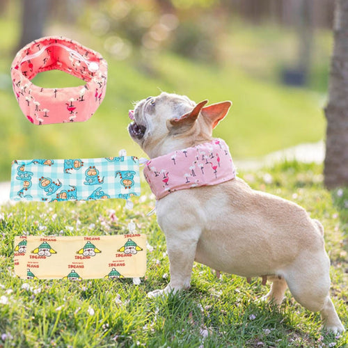 Frenchie Summer Cooling Scarf Anti-Heatstroke | Bowlift