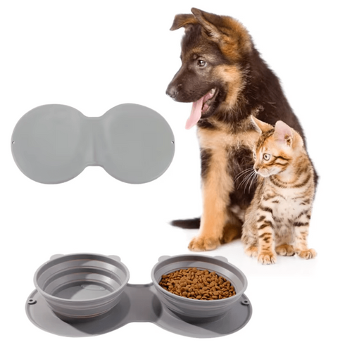 2-in-1 On-the-Go Food Bowl Bowlift