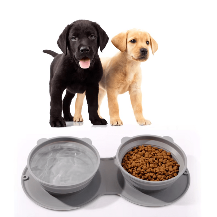 2-in-1 On-the-Go Food Bowl Bowlift