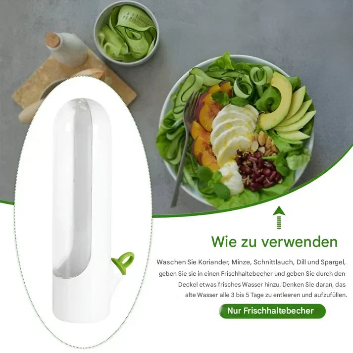 BowLift | Airtight herb container for longer freshness & space-saving storage