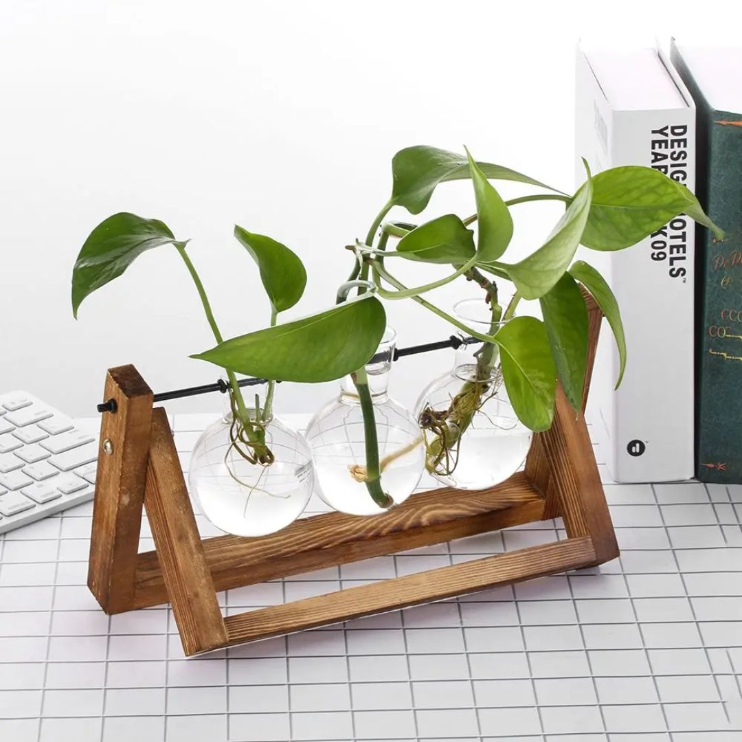 BowLift | Modern hydroponic pot with a wooden tray