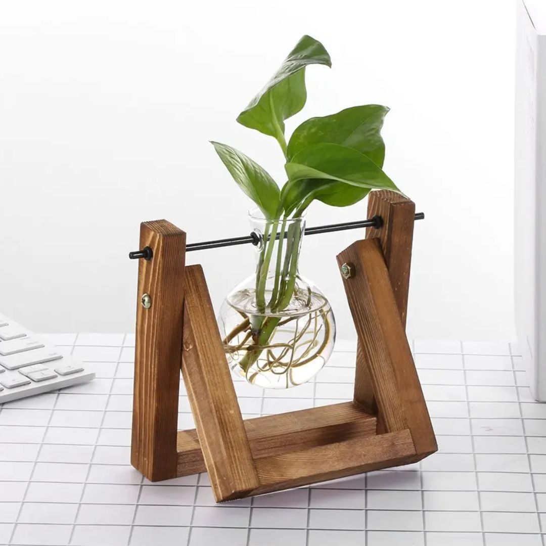 BowLift | Modern hydroponic pot with a wooden tray