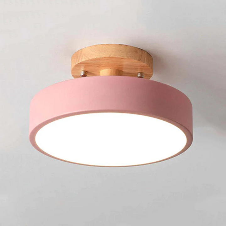 Stylish Modern LED Ceiling Lamp Bowlift