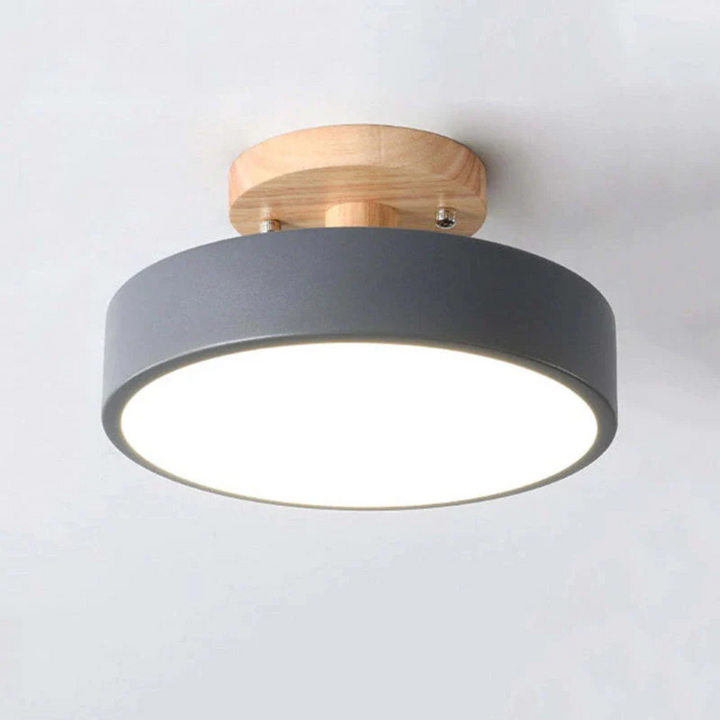 Stylish Modern LED Ceiling Lamp Bowlift