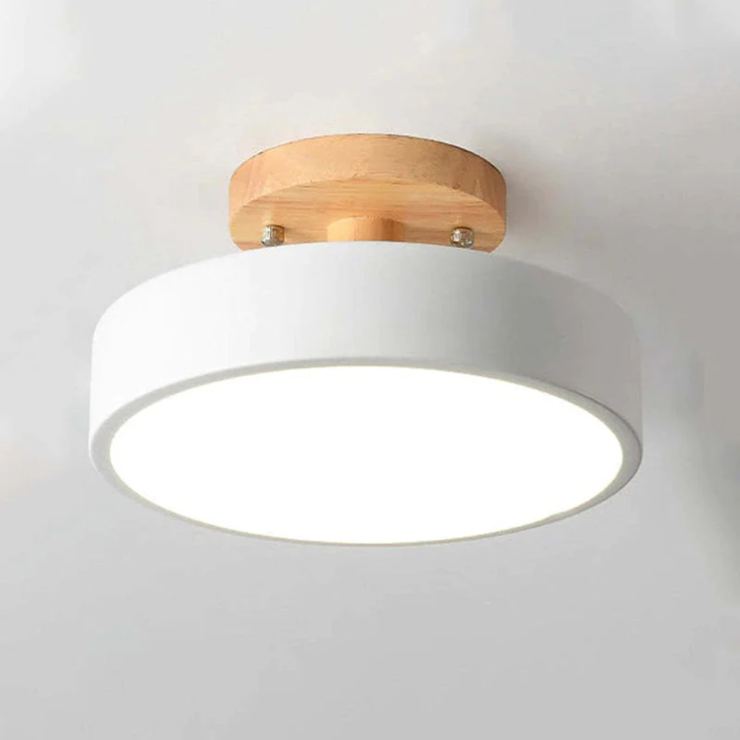 Modern Round LED Ceiling Lamp - Nova | Bowlift