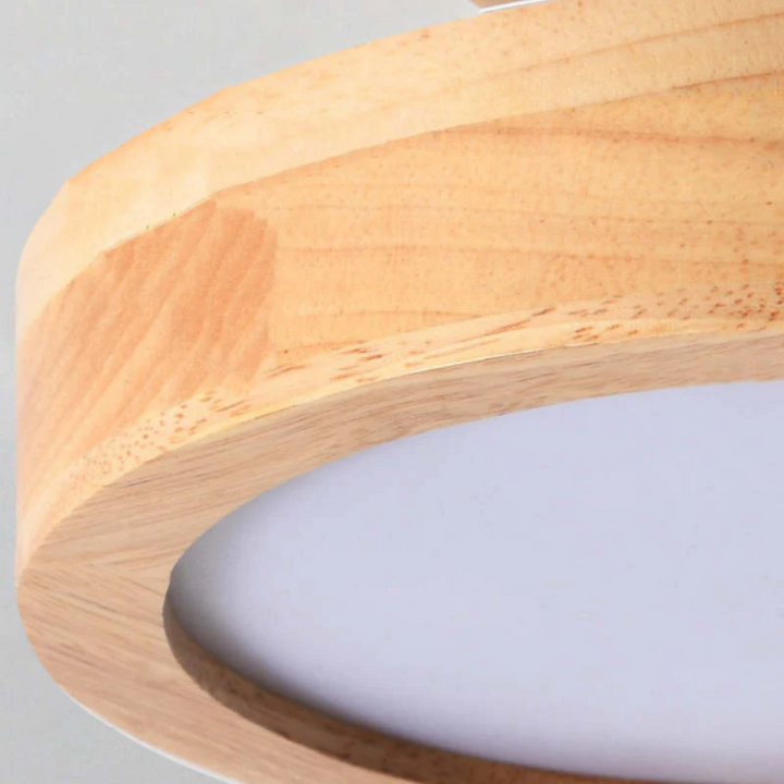 Modern Round LED Ceiling Lamp - Nova | Bowlift