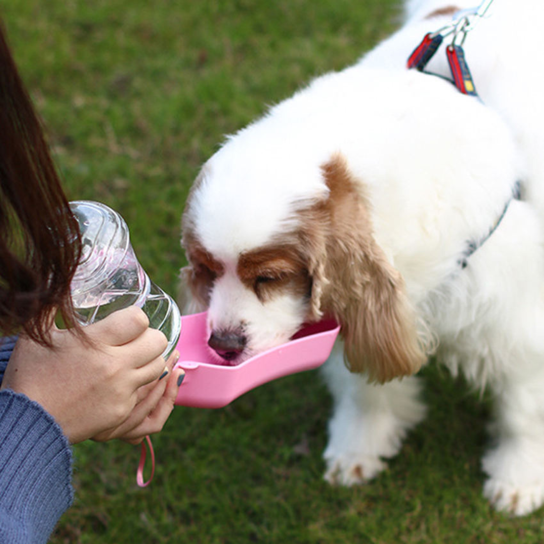 Practical Dog Water Bottle Bowlift