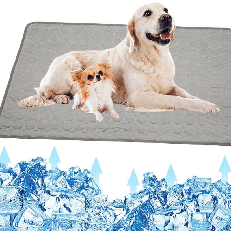 BowLift | Cooling dog mat for instant refreshment & comfort
