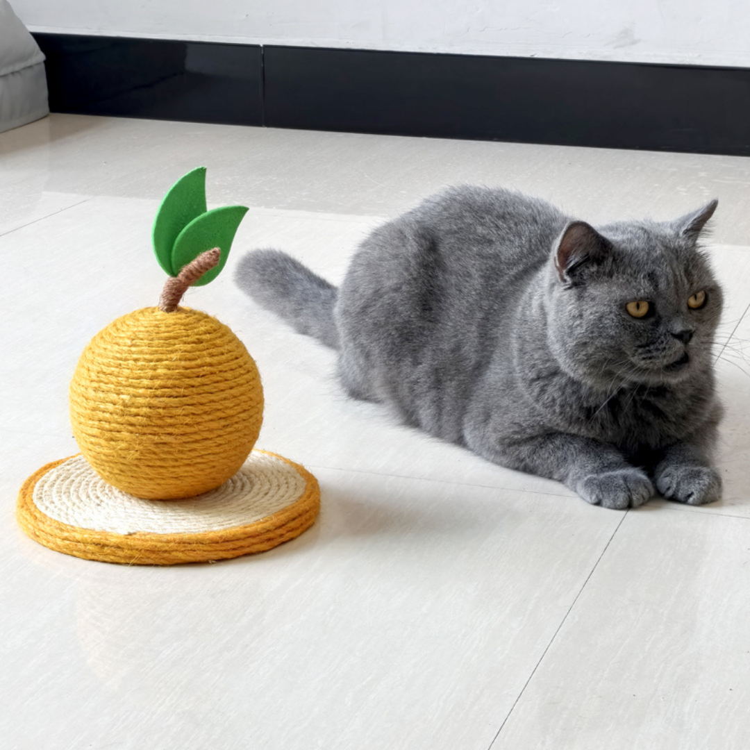 Cat Scratch Orange made of Sisal Bowlift