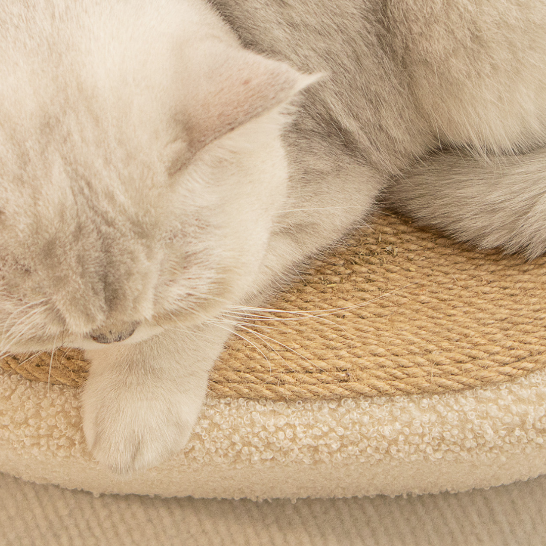 Premium Cat Sisal Scratching Bed in Beige Bowlift