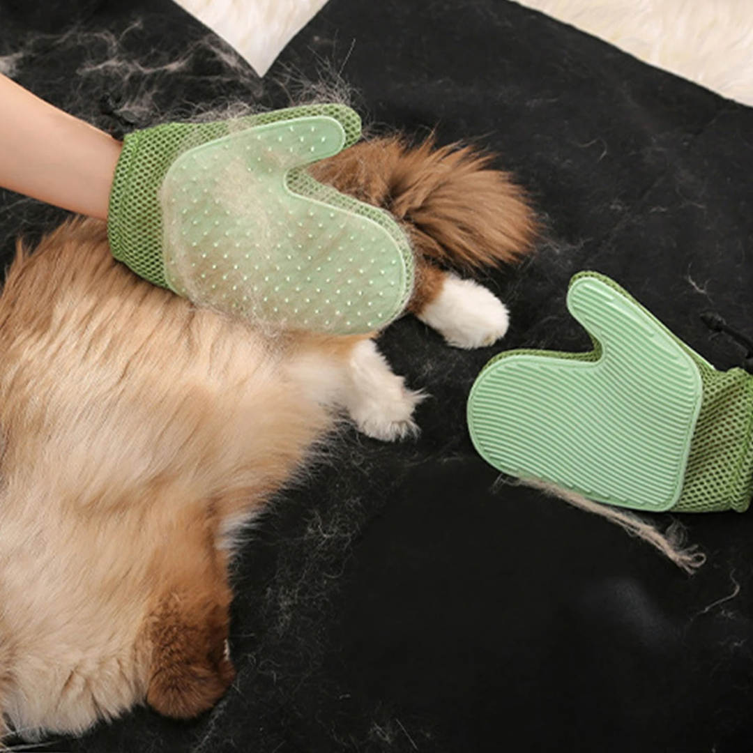 2in1 cat glove for grooming Bowlift
