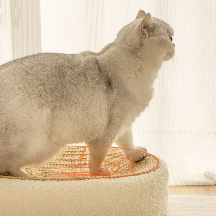 Premium Cat Sisal Scratching Bed in Beige Bowlift