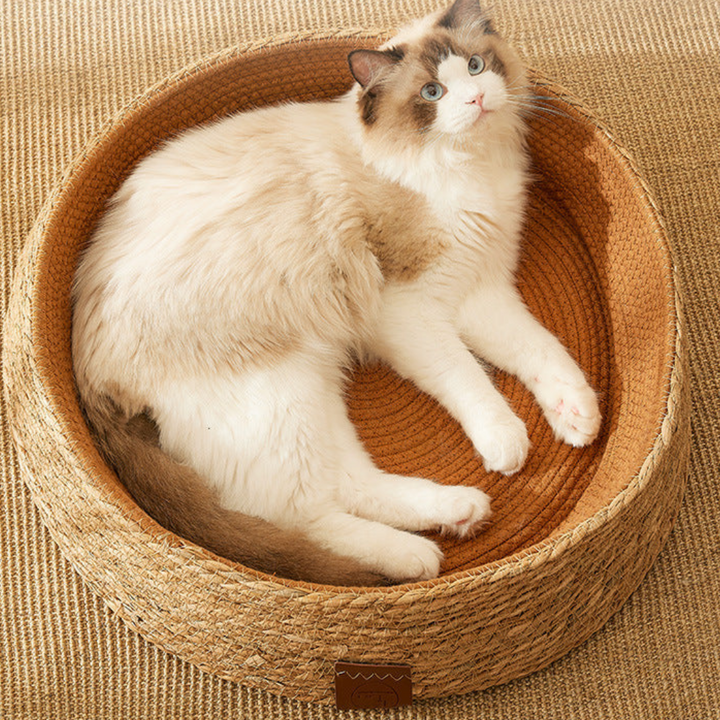 Hand-woven rattan cat scratching bed Bowlift