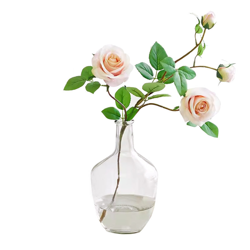 BowLift | High-End Vase Ornaments, Simple Living Room Flower Arrangement Glass Transparent Vase