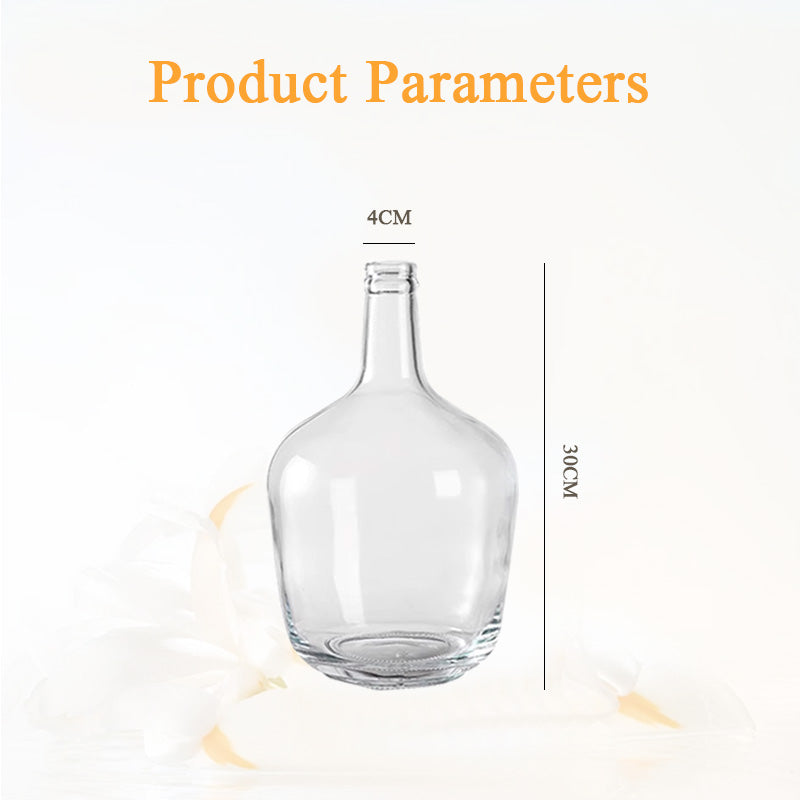 BowLift | High-End Vase Ornaments, Simple Living Room Flower Arrangement Glass Transparent Vase
