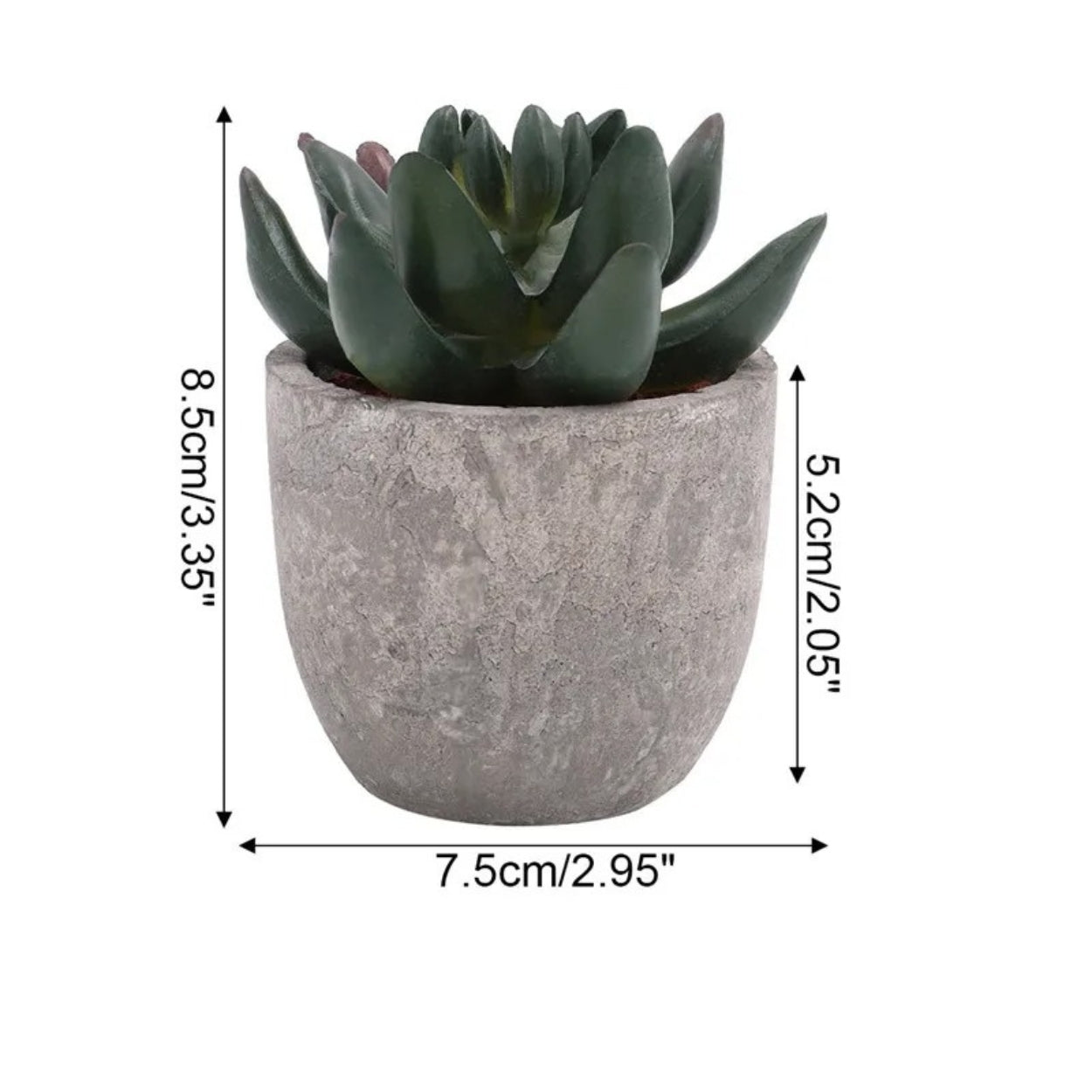BowLift | Verdea Artificial Succulent Plant Decor