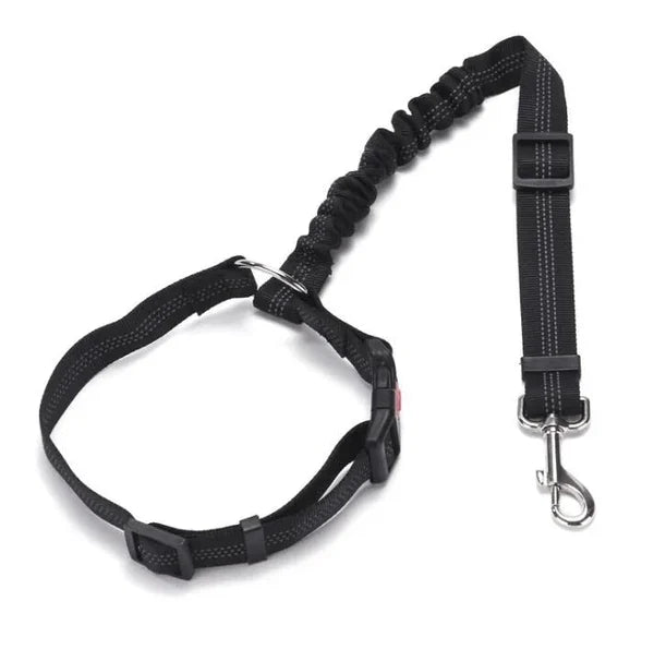 Adjustable Car Dog Leash | Bowlift