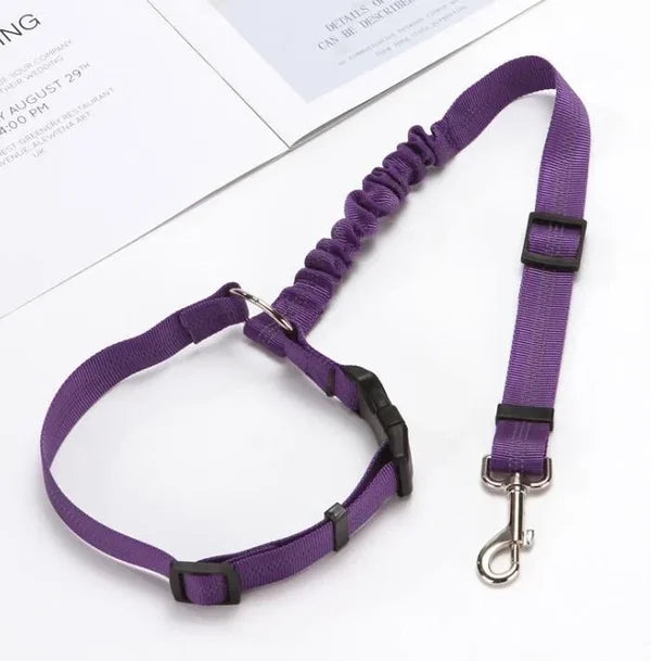 Adjustable Car Dog Leash | Bowlift