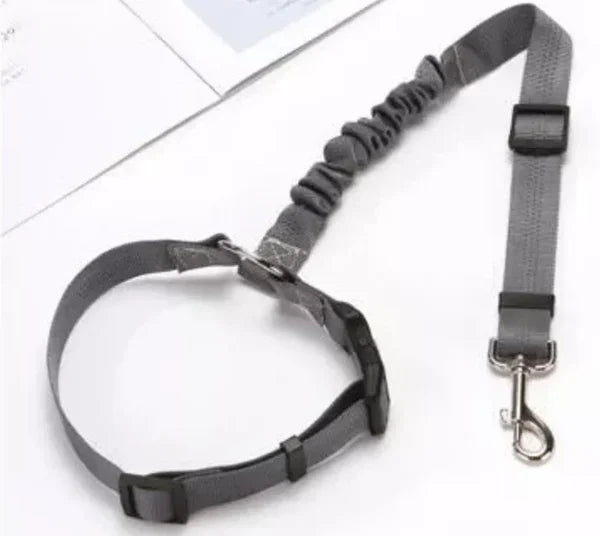 Adjustable Car Dog Leash | Bowlift
