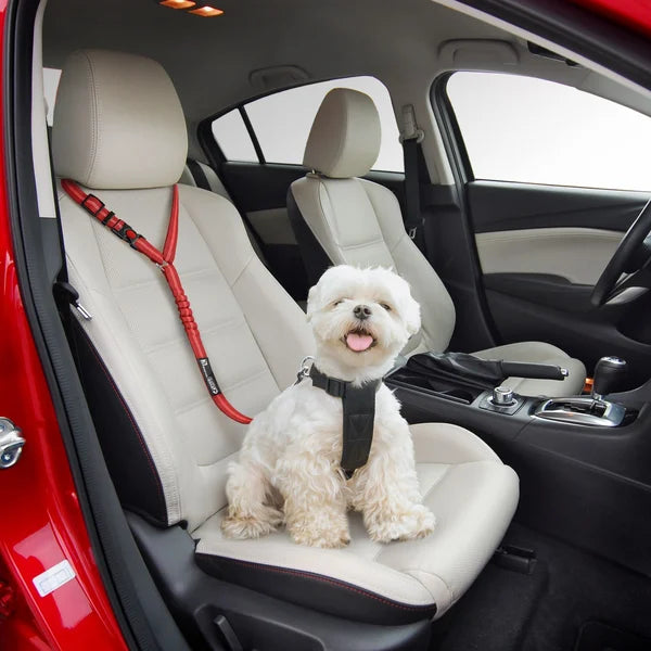 Adjustable Car Dog Leash | Bowlift