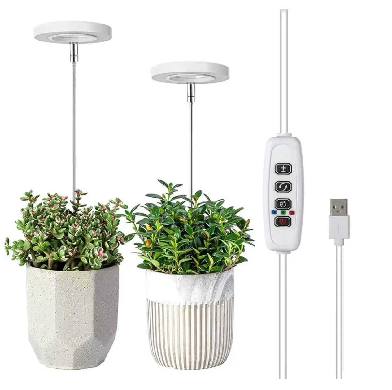 BowLift | Adjustable LED Plant Lamp – Optimal Light for Healthy Growth