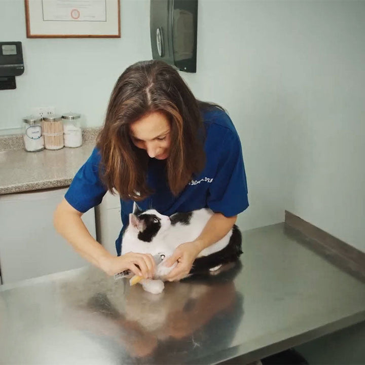 MAX - Best Dog Nail Clipper with Quick Sensors | Safe & Ergonomic | Bowlift