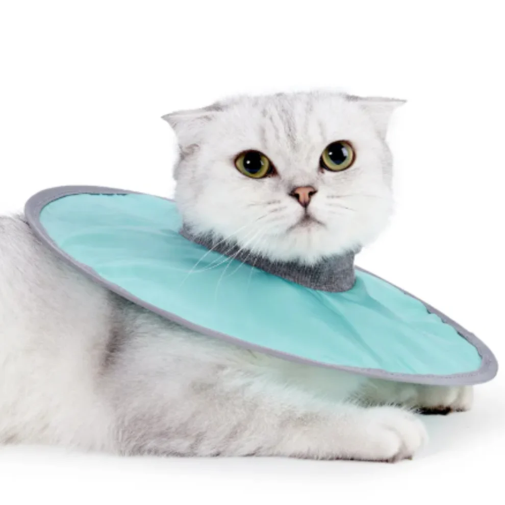 Cat protection collar soft & comfortable Bowlift