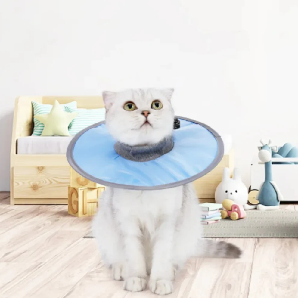 Cat protection collar soft & comfortable Bowlift