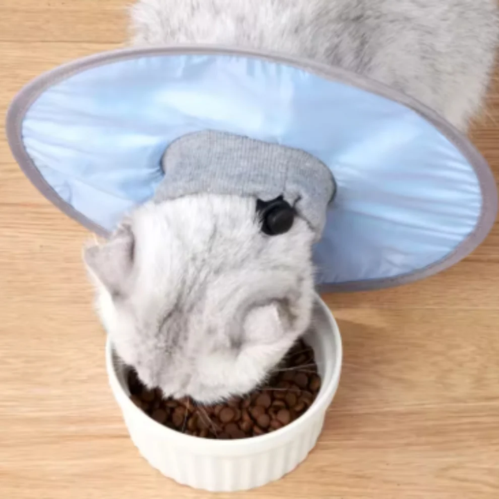 Cat protection collar soft & comfortable Bowlift