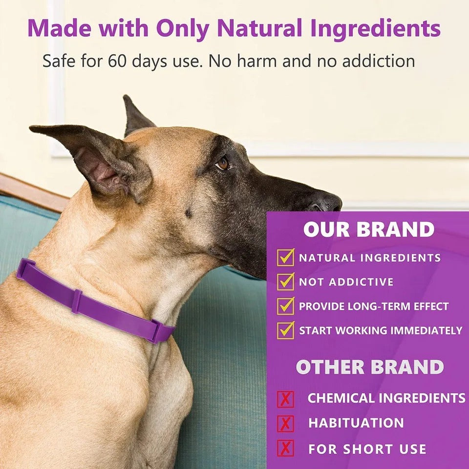 Pheromone Calming Collar for Dogs and Cats Bowlift
