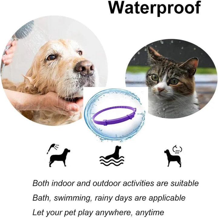 Pheromone Calming Collar for Dogs and Cats Bowlift