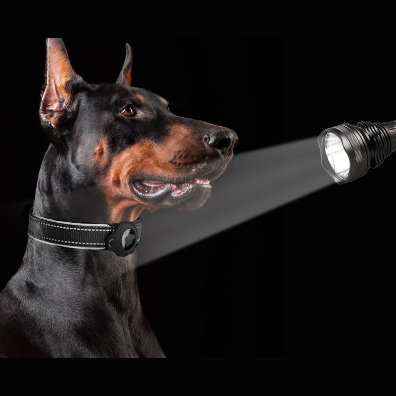 BowLift | LEAZO - AirTag Dog Collar