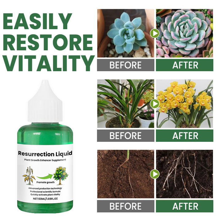 BowLift | PlantRevive | Give Life Back to Your Plants