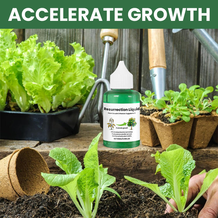 BowLift | PlantRevive | Give Life Back to Your Plants
