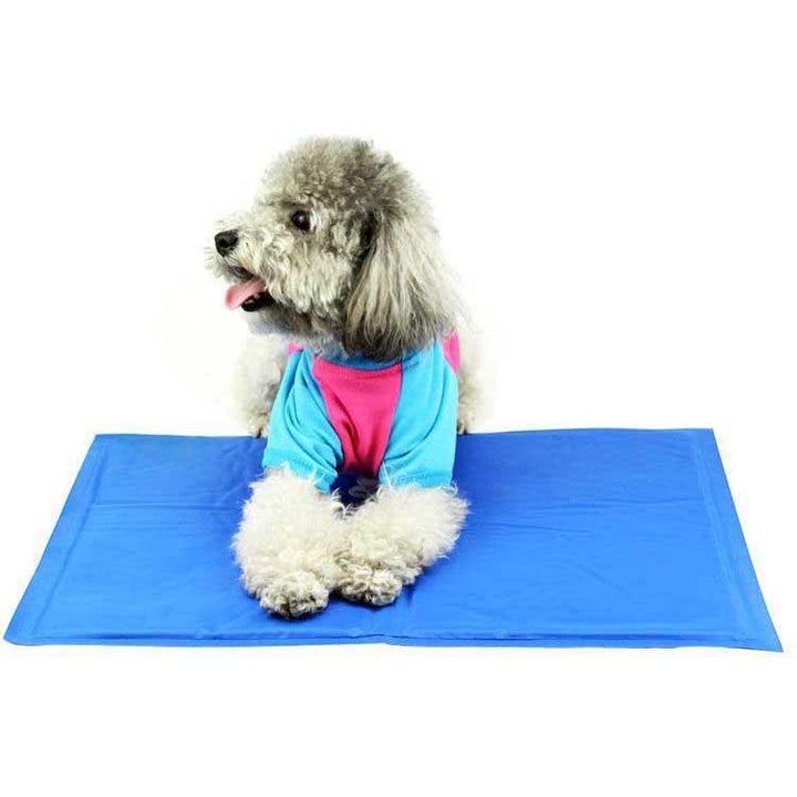 Pet Cooling Mat | Bowlift