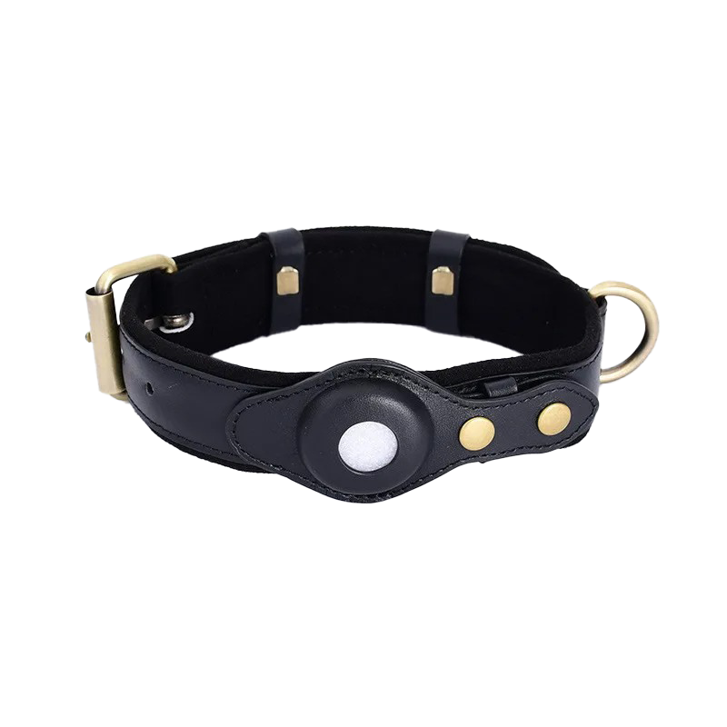 BowLift | PawElegance Luxury Tracking System | Advanced tracking solution for pets for peace of mind and safety