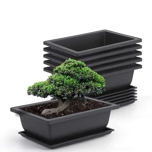 BowLift | Rectangular Flower Planter with Saucer for Balcony