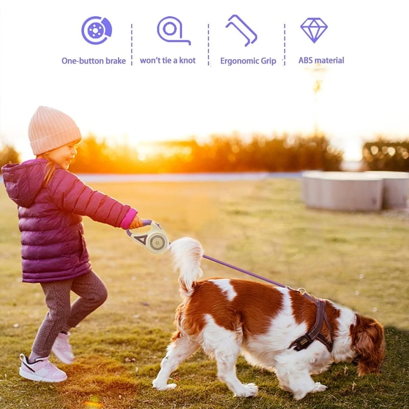 BowLift | Luminous lead for pets